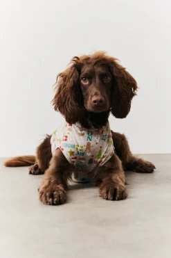 Discount In the Style Dog Noel Print Pyjama Multi