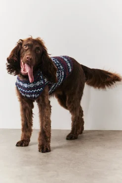 Outlet In the Style Dog Snowflake Print Pyjama Multi