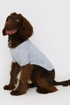 Hot In The Style Plain Jersey Dog PJ Grey