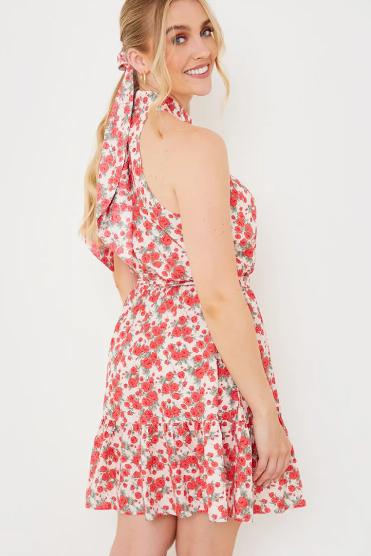 Clearance In the Style Polo In The Park Dress Red