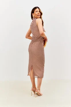 Best In the Style Stripe Printed Mesh Bodycon Midaxi Dress Brown