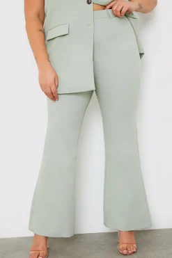Best Fits Tailored Fit and Flare Trouser